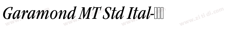 Garamond MT Std Ital字体转换